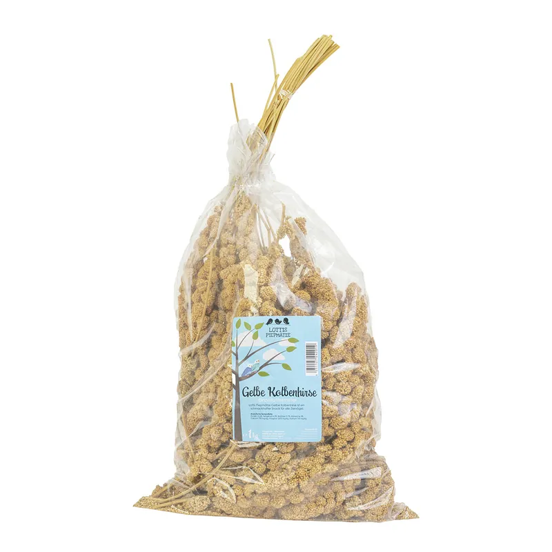 LOTTIS PIEPMÄTZE Gelbe Kolbenhirse 1 kg Top-Angebot